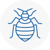 Bed Bug Extermination In Bacup